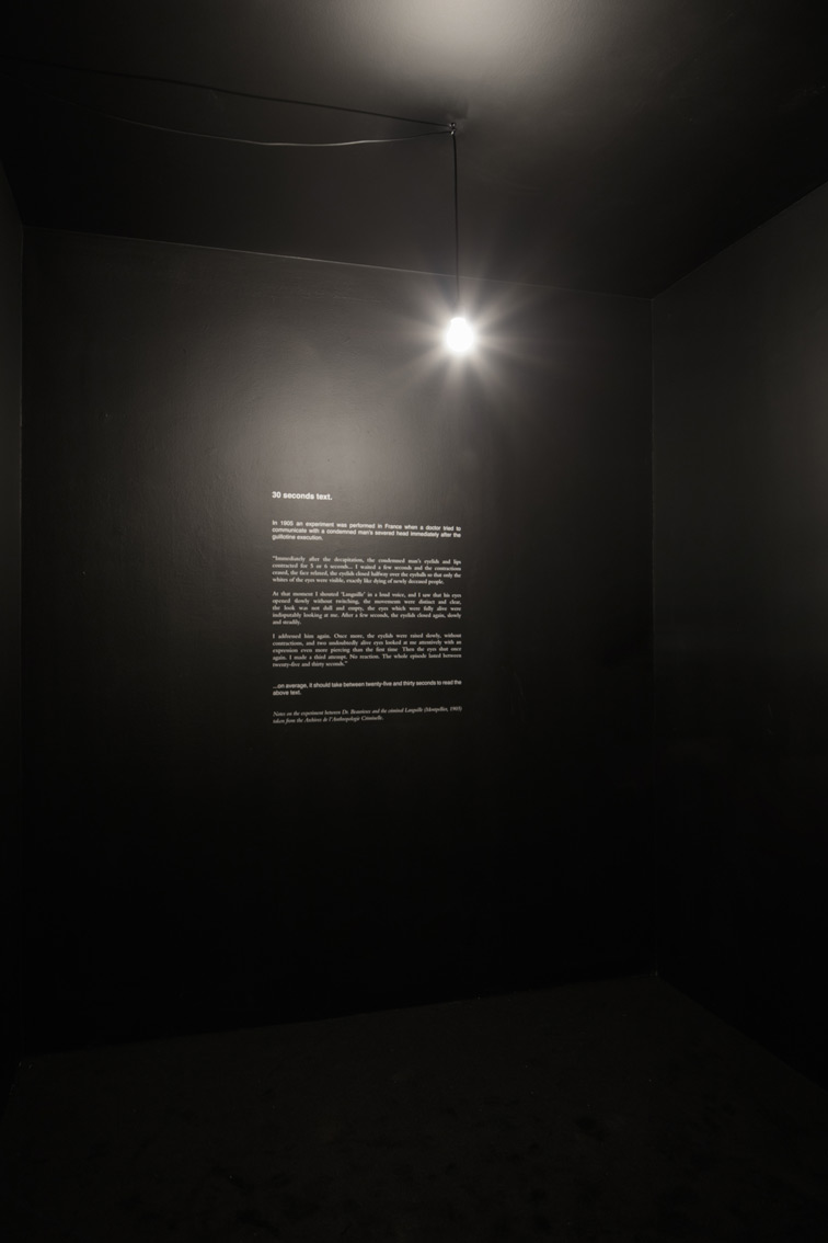 Douglas Gordon, 30 sec text, 1996